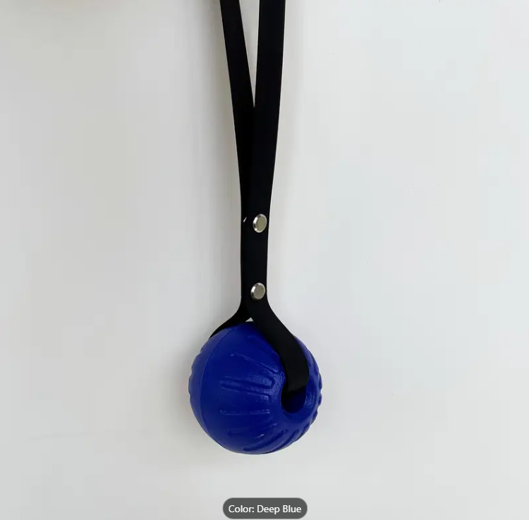 Heavy-Duty EVA Dog Ball with Waterproof Strap - Indestructible Fun for Every Dog
