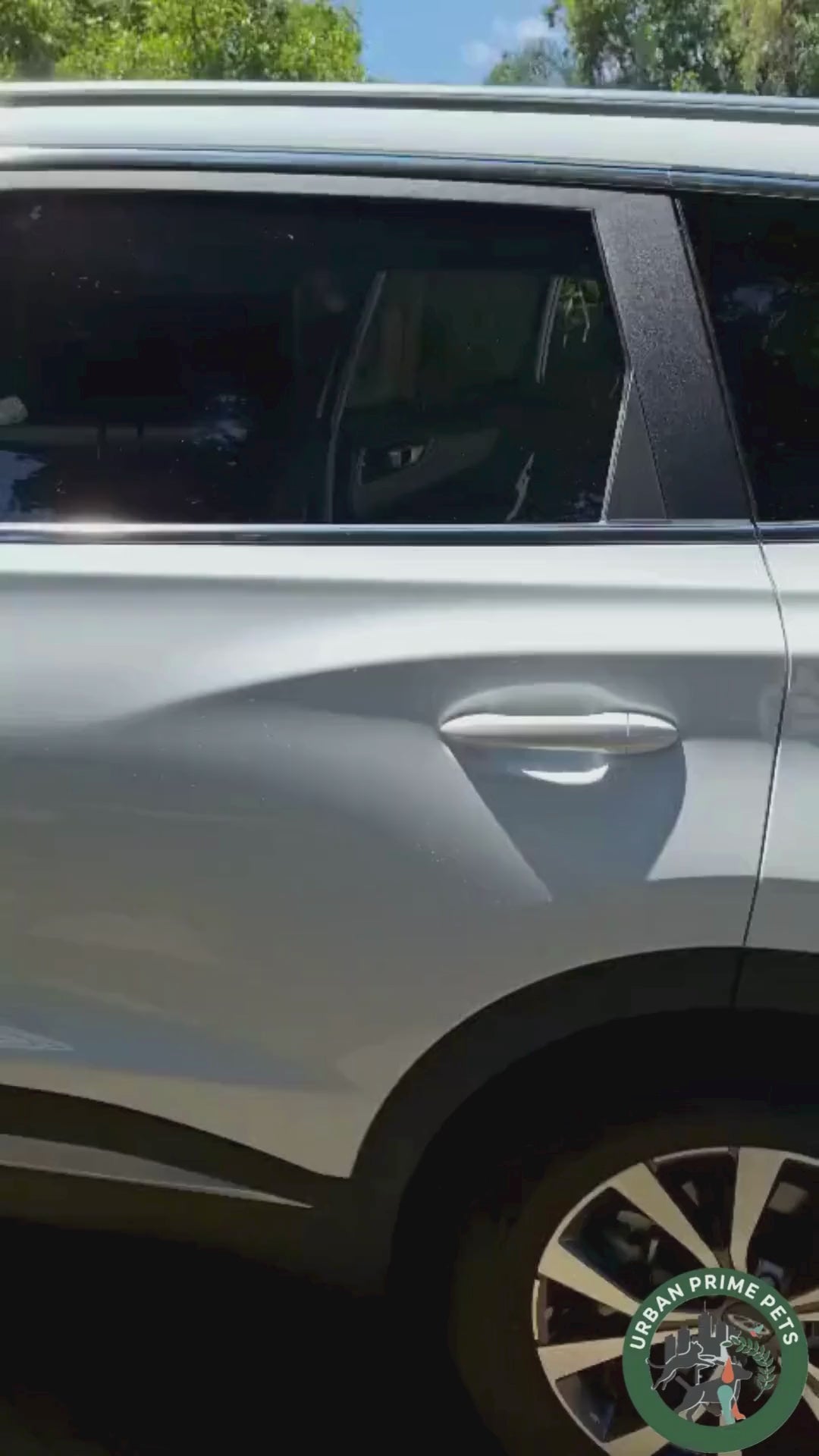 Durable Backseat Car Cover - For Pets